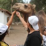 506665890_9765021410259821_269458152706078059_n