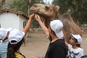 506665890_9765021410259821_269458152706078059_n