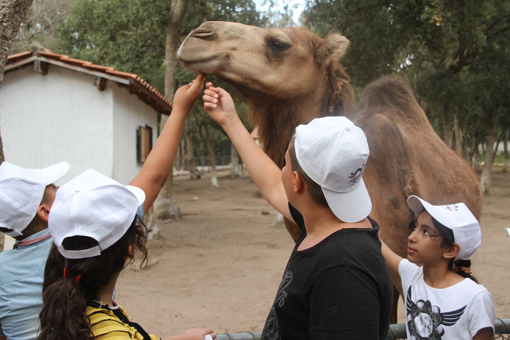 506665890_9765021410259821_269458152706078059_n