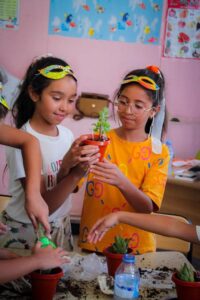 photo_5969624385754696782_y